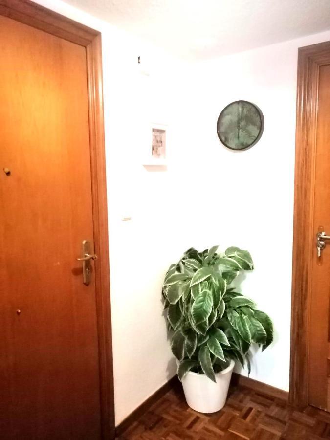 Rooms Estacion Αλικάντε Εξωτερικό φωτογραφία
